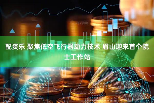 配资乐 聚焦低空飞行器动力技术 眉山迎来首个院士工作站