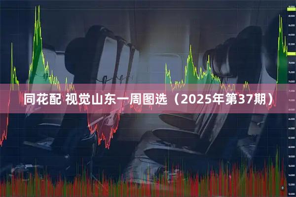 同花配 视觉山东一周图选（2025年第37期）