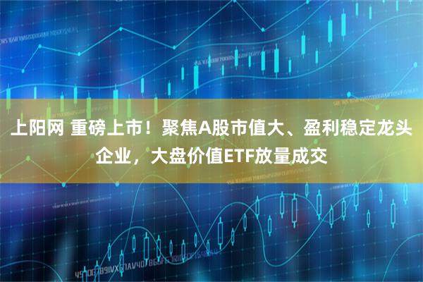 上阳网 重磅上市！聚焦A股市值大、盈利稳定龙头企业，大盘价值ETF放量成交