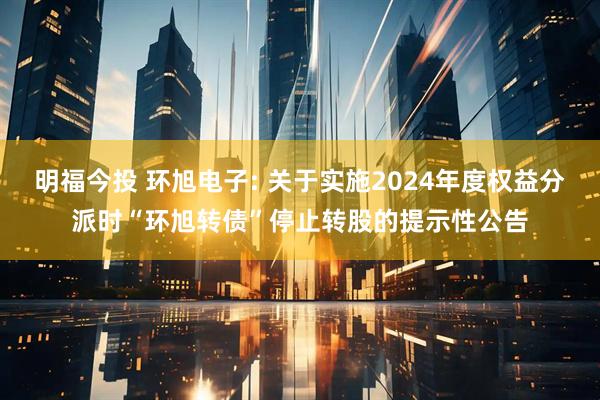 明福今投 环旭电子: 关于实施2024年度权益分派时“环旭转债”停止转股的提示性公告
