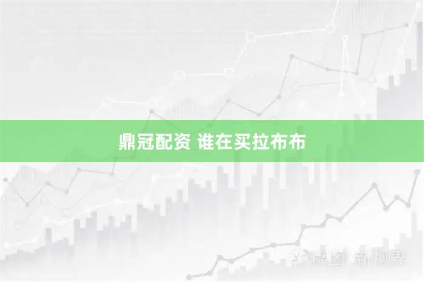 鼎冠配资 谁在买拉布布