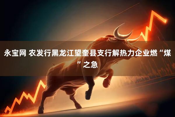 永宝网 农发行黑龙江望奎县支行解热力企业燃“煤”之急