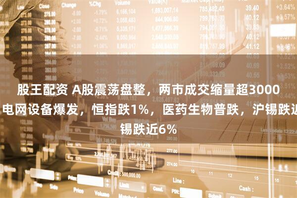 股王配资 A股震荡盘整，两市成交缩量超3000亿，电网设备爆发，恒指跌1%，医药生物普跌，沪锡跌近6%