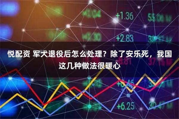 悦配资 军犬退役后怎么处理？除了安乐死，我国这几种做法很暖心