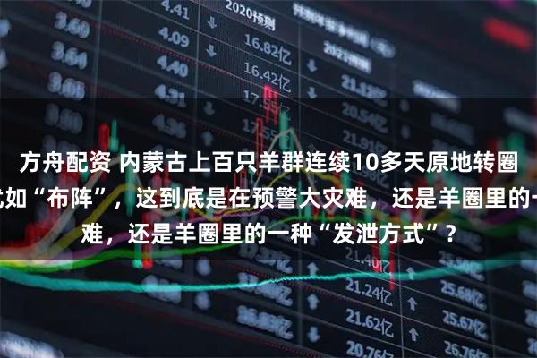 方舟配资 内蒙古上百只羊群连续10多天原地转圈，队形越跑越圆犹如“布阵”，这到底是在预警大灾难，还是羊圈里的一种“发泄方式”？