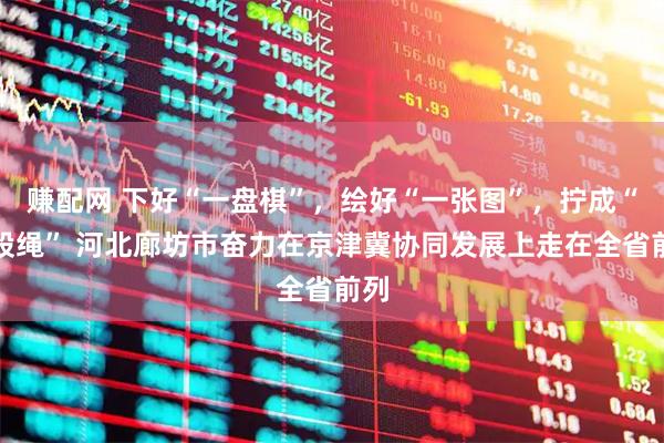 赚配网 下好“一盘棋”，绘好“一张图”，拧成“一股绳” 河北廊坊市奋力在京津冀协同发展上走在全省前列