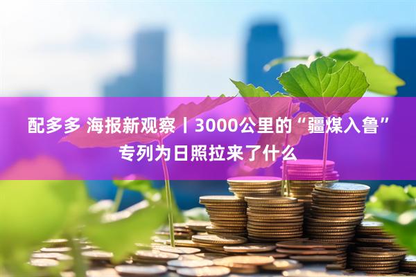 配多多 海报新观察丨3000公里的“疆煤入鲁”专列为日照拉来了什么