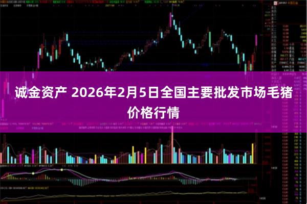 诚金资产 2026年2月5日全国主要批发市场毛猪价格行情