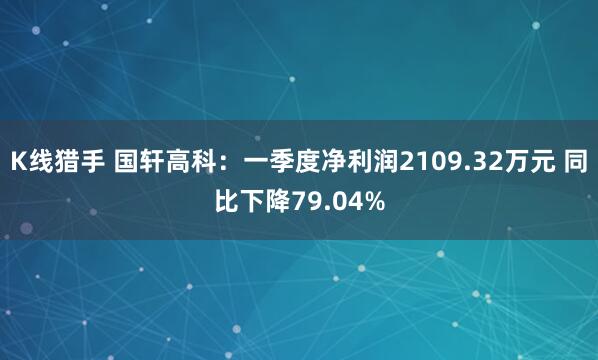 K线猎手 国轩高科：一季度净利润2109.32万元 同比下降79.04%